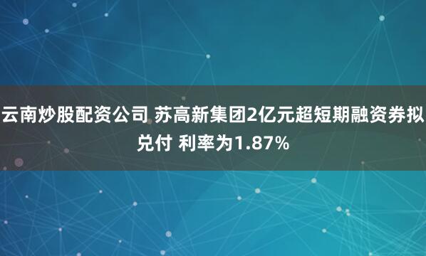 云南炒股配资公司 苏高新集团2亿元超短期融资券拟兑付 利率为1.87%